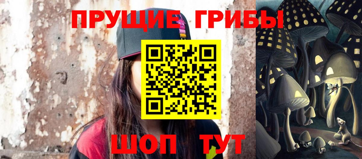 Псилоцибиновые грибы Cubensis Череповец