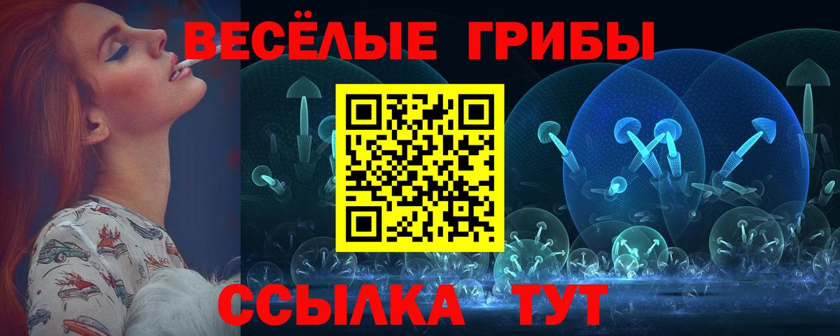 Череповец  Галлюциногенные грибы Magic Shrooms  Вход с VPN  Псилоцибиновые грибы Cubensis 